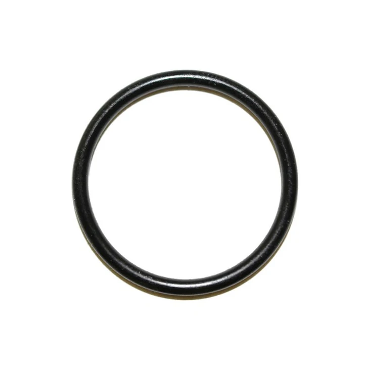 O-ring del filtro dell'acqua UV
